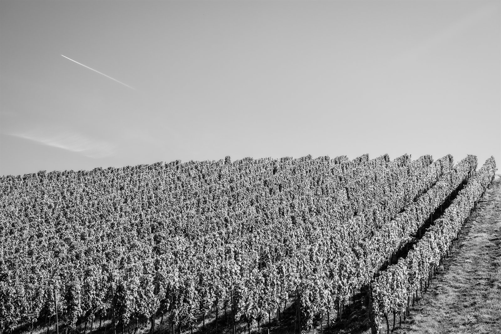 Trier et la vallee de la Moselle, en noir et blanc