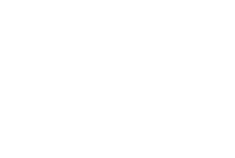 StatimVisum — AVDSP