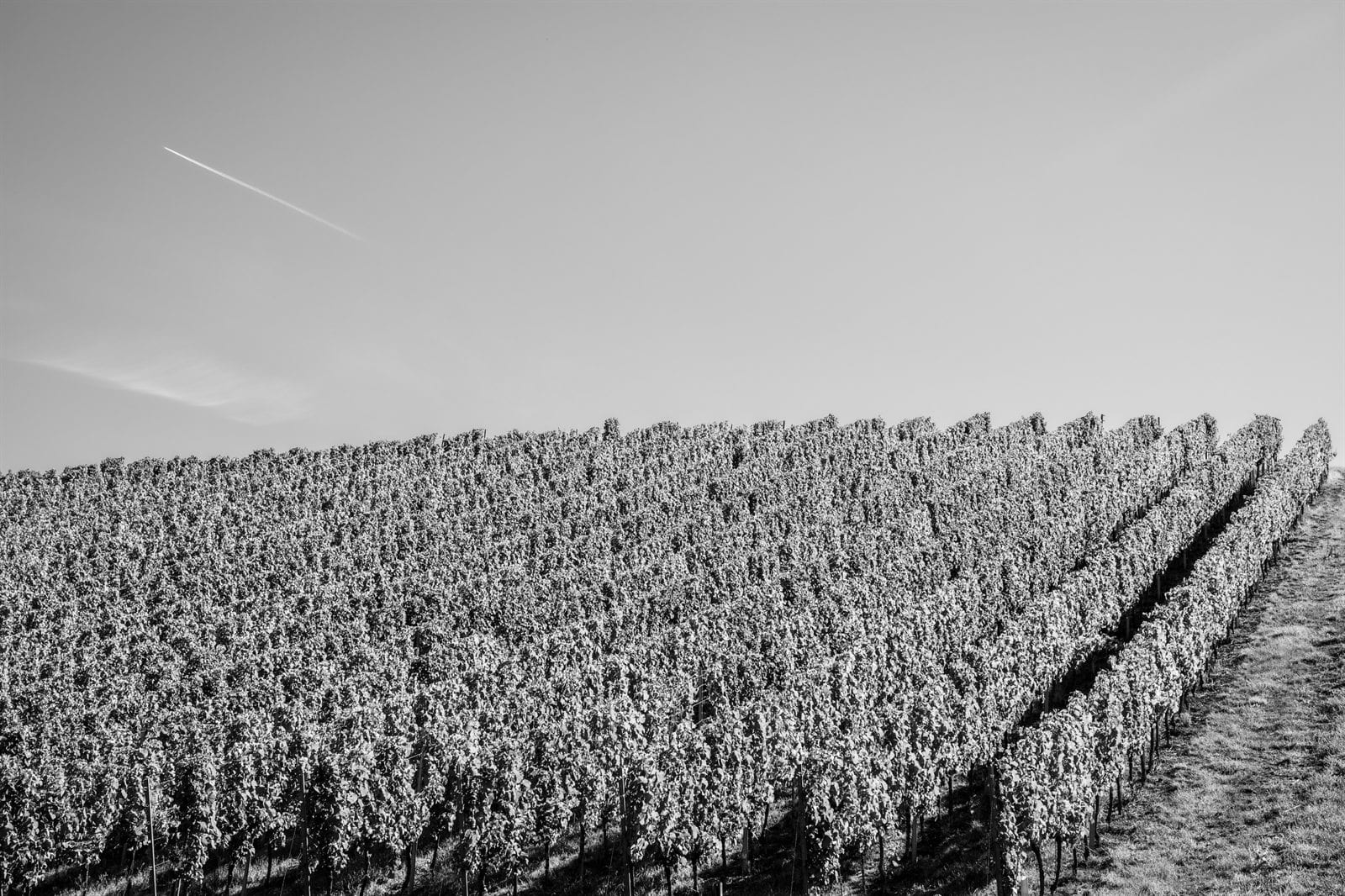 Trier et la vallee de la Moselle, en noir et blanc